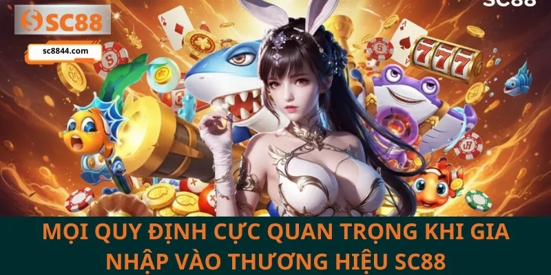 Tuân thủ quy định giúp bạn có một hành trình cá cược an toàn và bền vững.