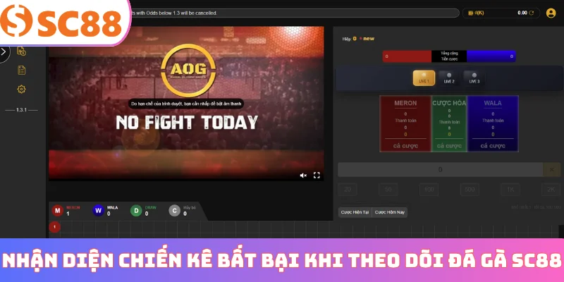 Nhận diện chiến kê bất bại khi theo dõi đá gà SC88