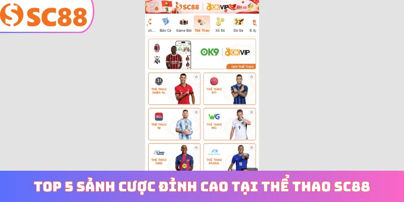 Top 5 sảnh cược đỉnh cao tại thể thao SC88